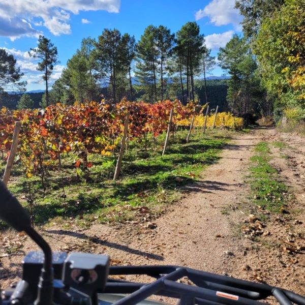 un quad sur un chemin de terre qui longe une parcelle de vigne